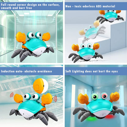 Superior Quality Crawling Crab Toy